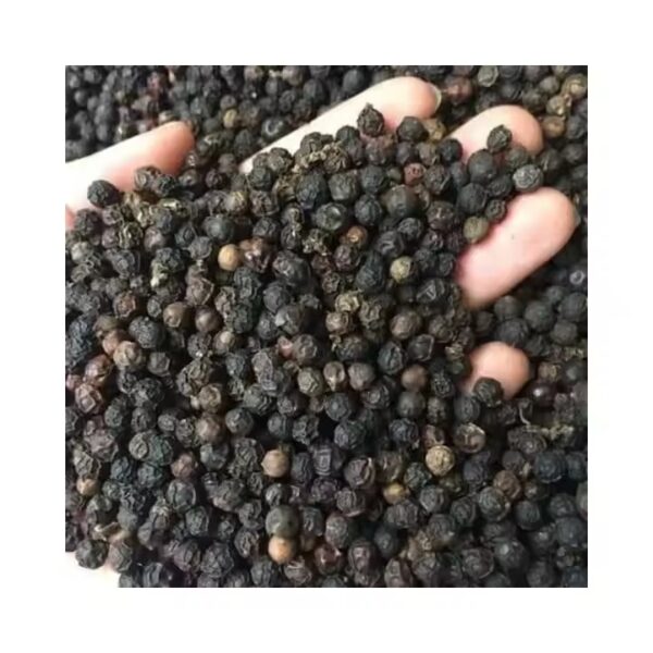 Black Pepper for Wholesale - Image 2