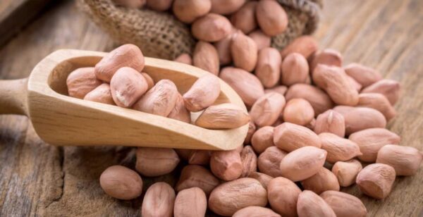Bulk Groundnuts Supplier - Image 2