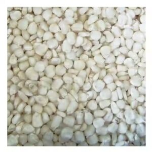 White Corn For Wholesale