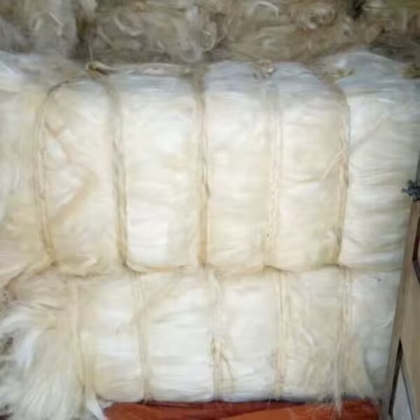 Buy Sisal Fiber Grade 3 Short