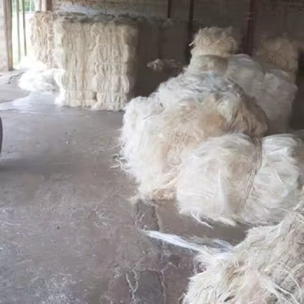 Sisal Fiber Grade 3L Supplier