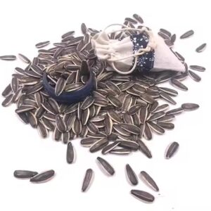 Sunflower Seeds Supplier