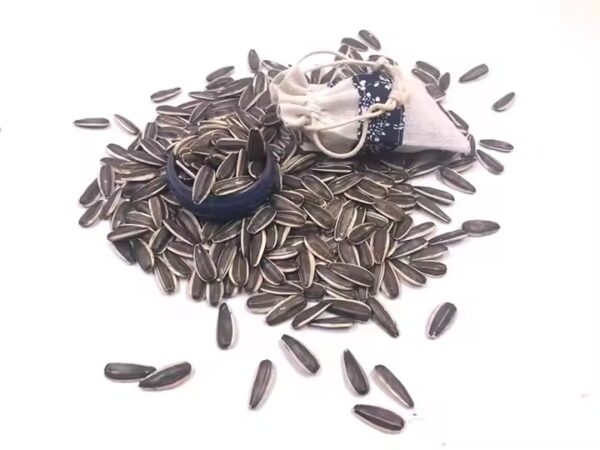 Sunflower Seeds Supplier