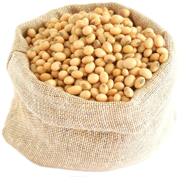 Soybeans Supplier